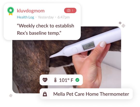 Image of a dog getting their temperature checked under their arm with the Mella thermometer.