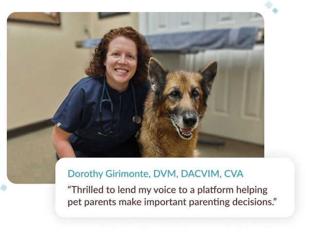 Image of a veterinarian Dorothy Jackson Girimonte, DVM, DACVIM, CVA smiling and holding a small with dog in a vet office.