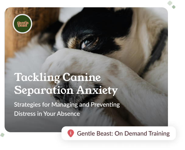 Dog holding their nose as the cover the the article 'Tackling Canine Separation Anxiety'